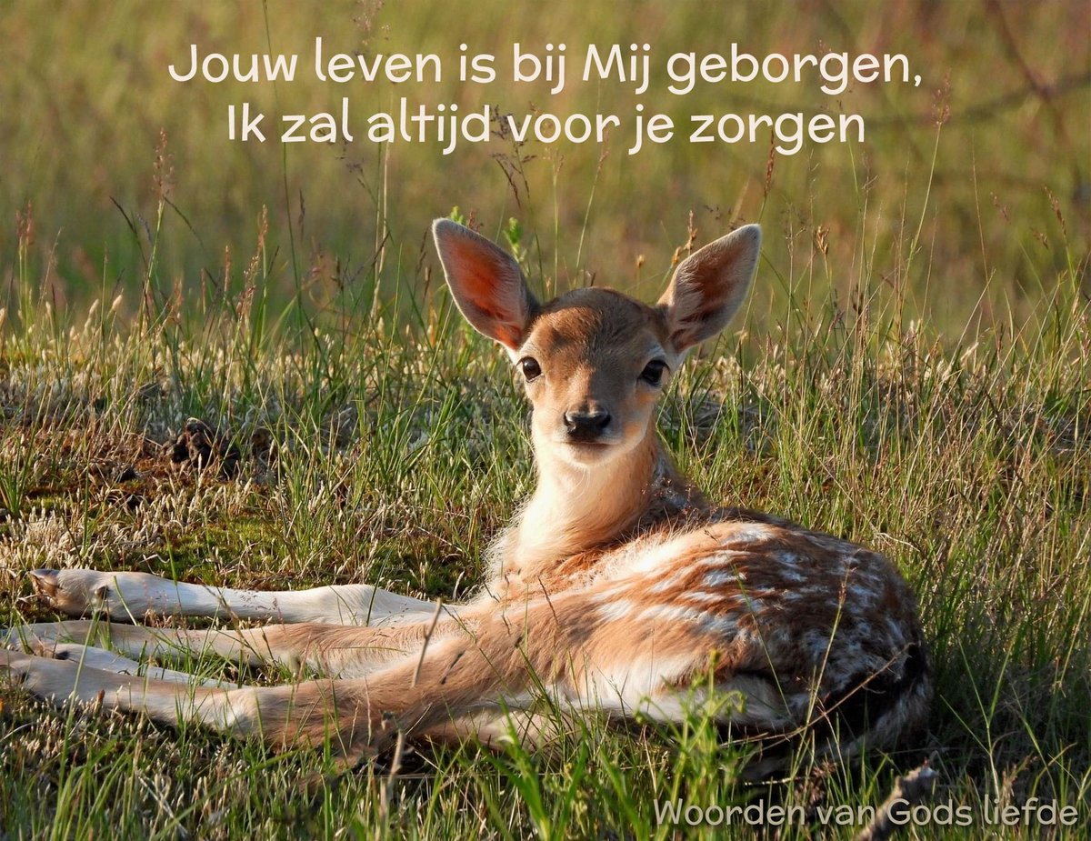 Ps.32:8, 3145:14, Jes.41:10, Joh.10:10, 2 Kor.12:9,10, Ef.2:10, Kol.2:9,10, 3:3, 2Tes.3:3, Jak.1:5