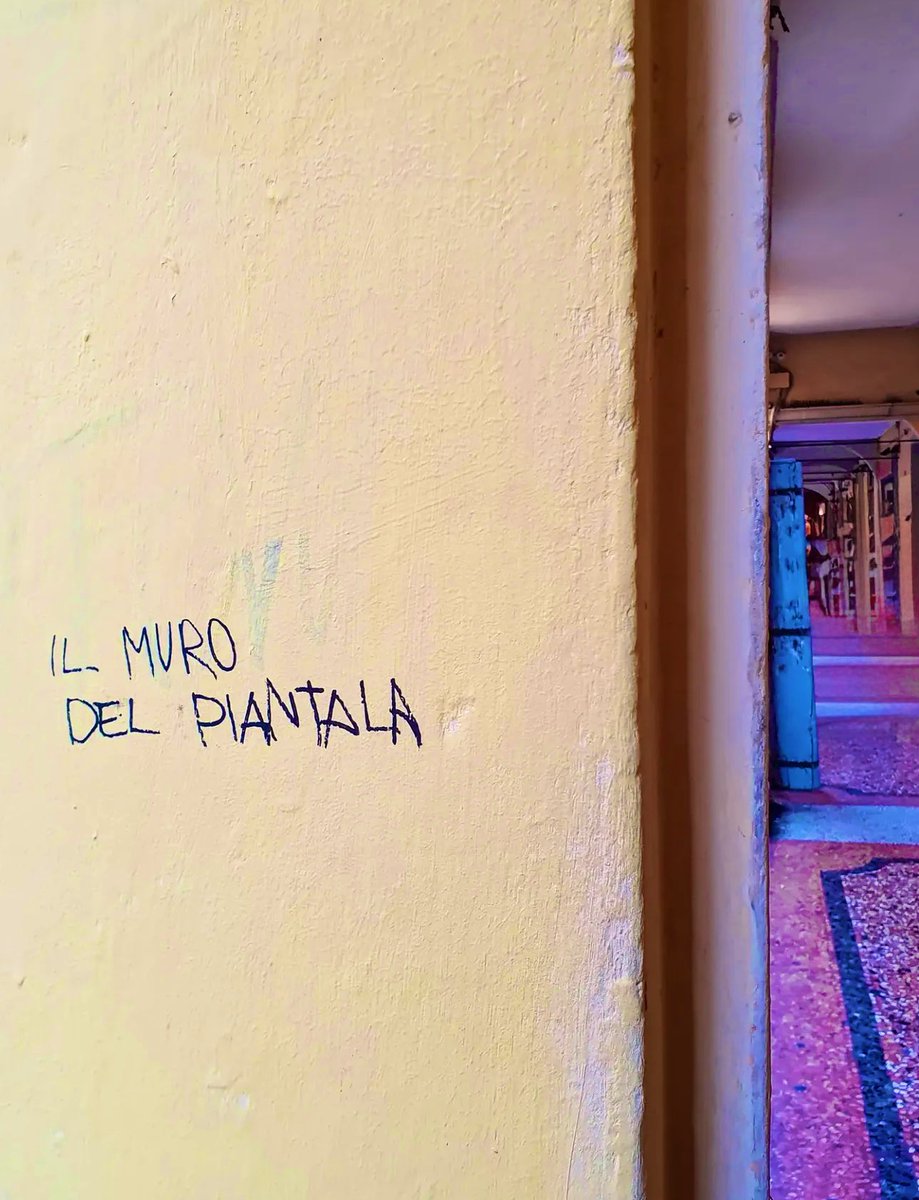 anchelaste's tweet photo. Dillo con un #postgraffito #BuongiornoATutti💚 https://t.co/MNhBiqbK5X
