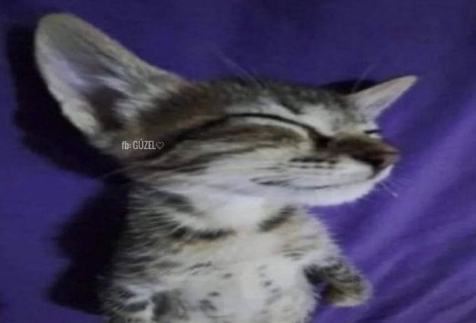 “cuando llegue a casa lo hago”

yo en casa: