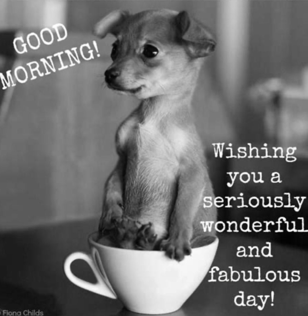 RedAlways tweet media