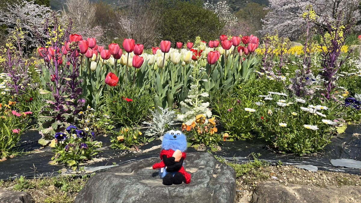 “とてと”なスンスン好き tweet media