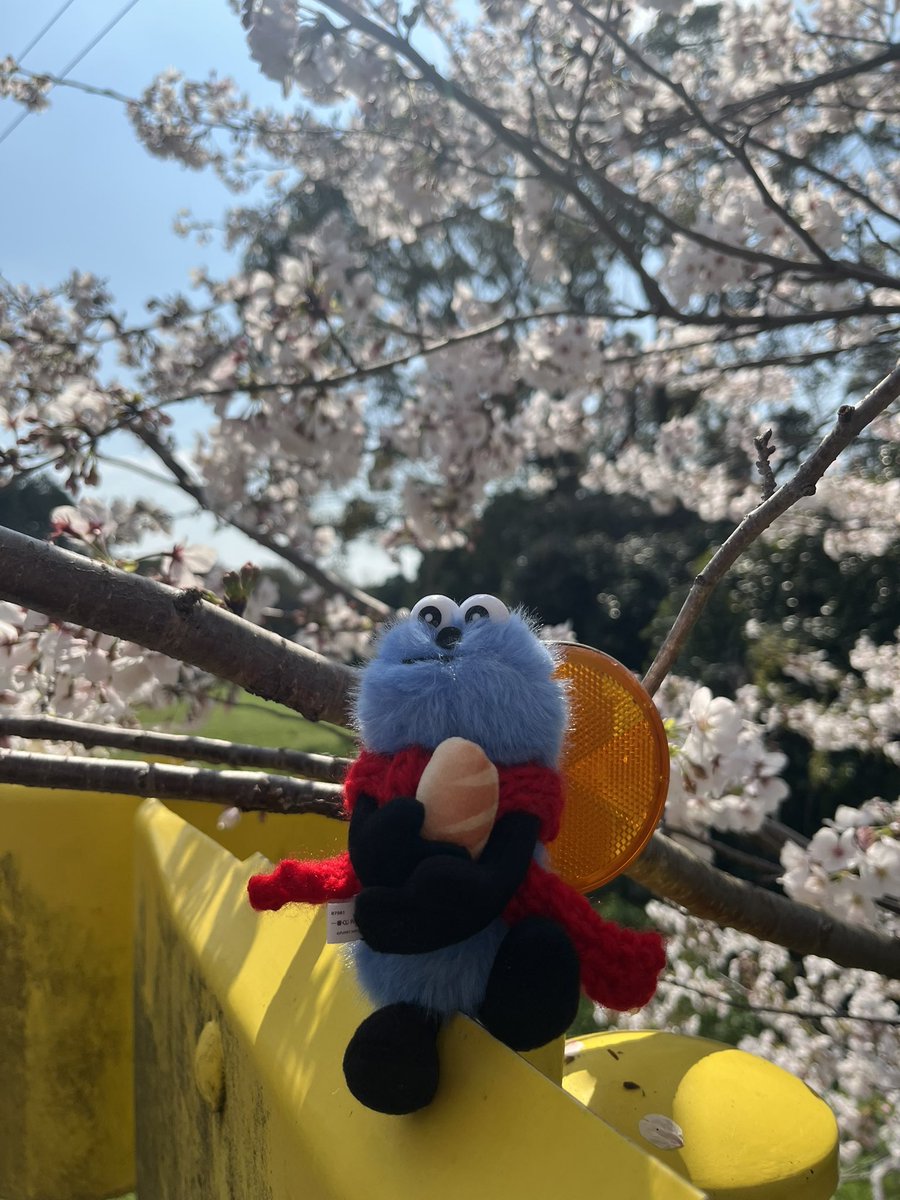 “とてと”なスンスン好き tweet media