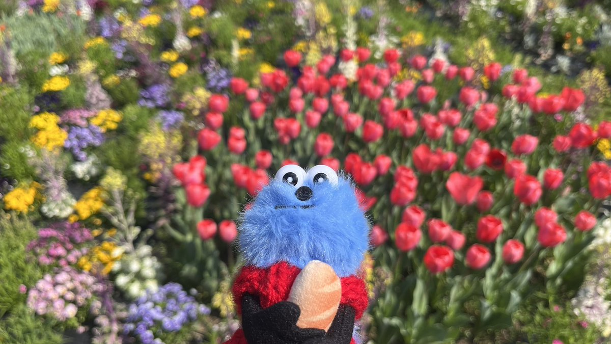 “とてと”なスンスン好き tweet media