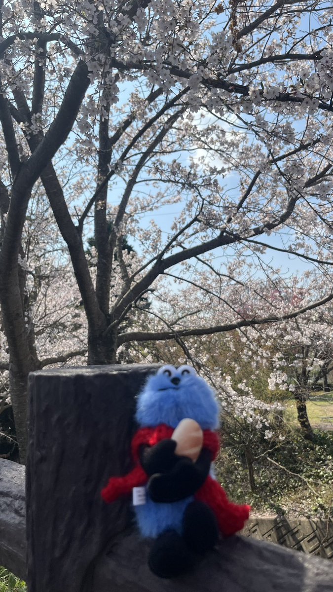 “とてと”なスンスン好き tweet media