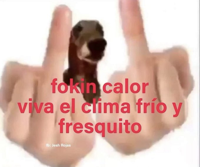 itsD3lay🐧 (@itsd3lay) on Twitter photo 