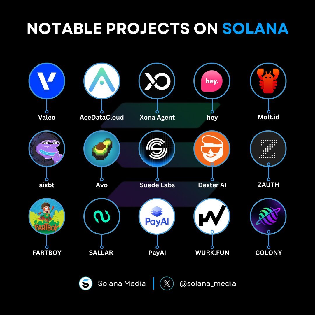 Solana Media tweet media