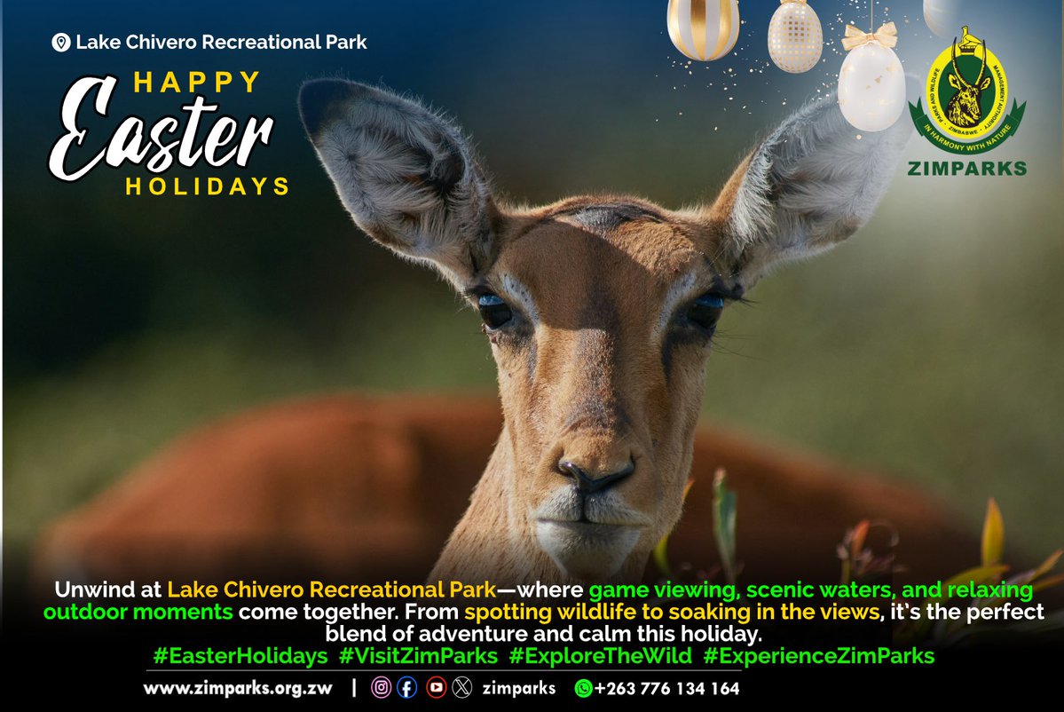Zimparks tweet media