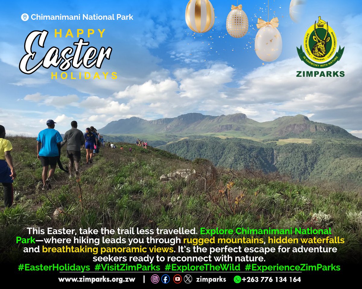 Zimparks tweet media