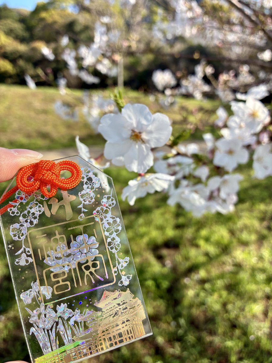 🌸らん🌸８日21時頒布会 tweet media