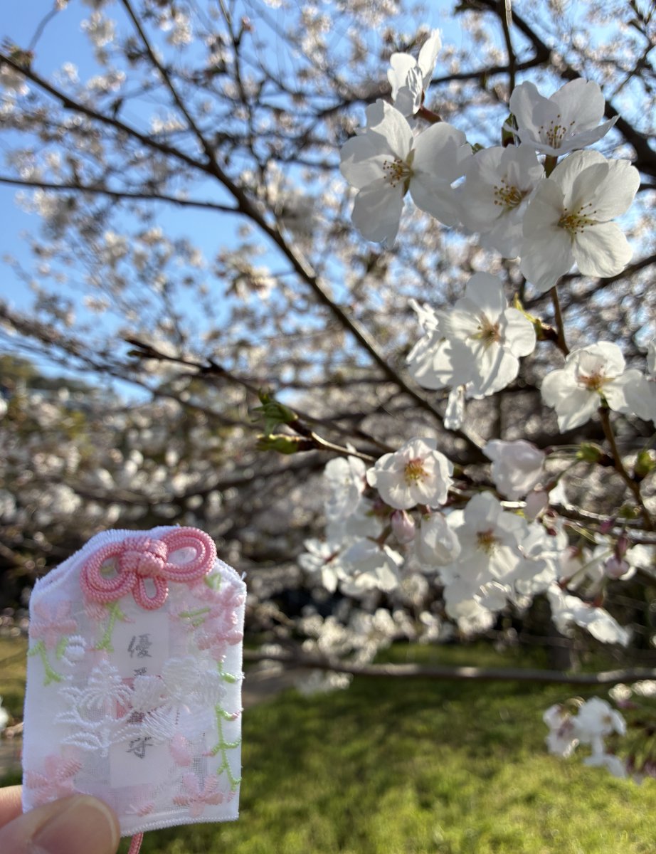 🌸らん🌸８日21時頒布会 tweet media