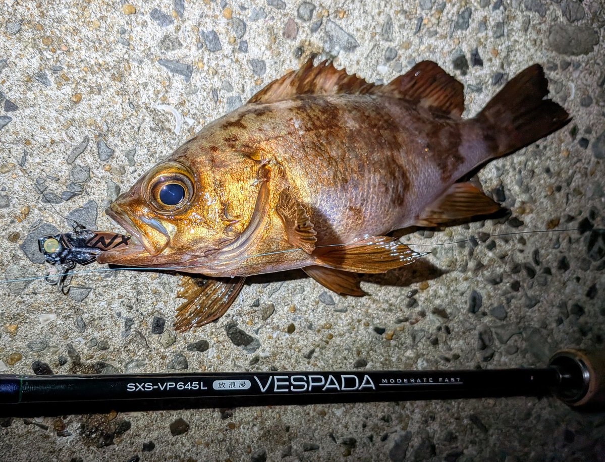 横山創万(そうま) tweet media