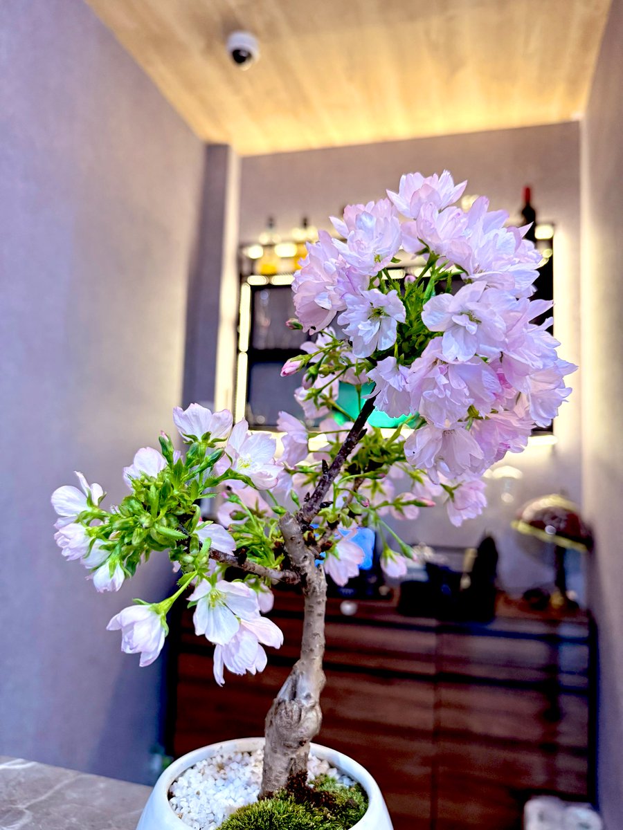 ういち tweet media