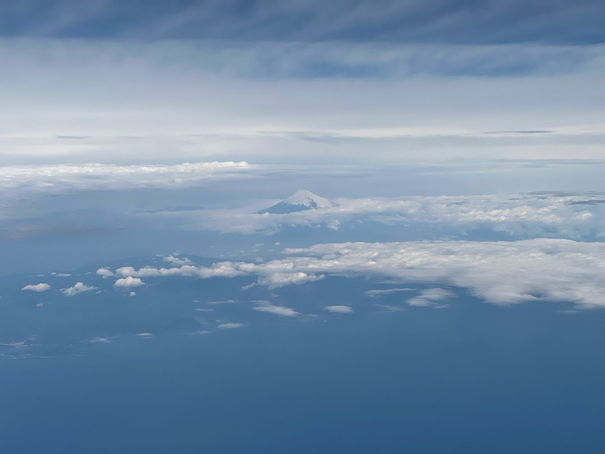 Iori TANI tweet media