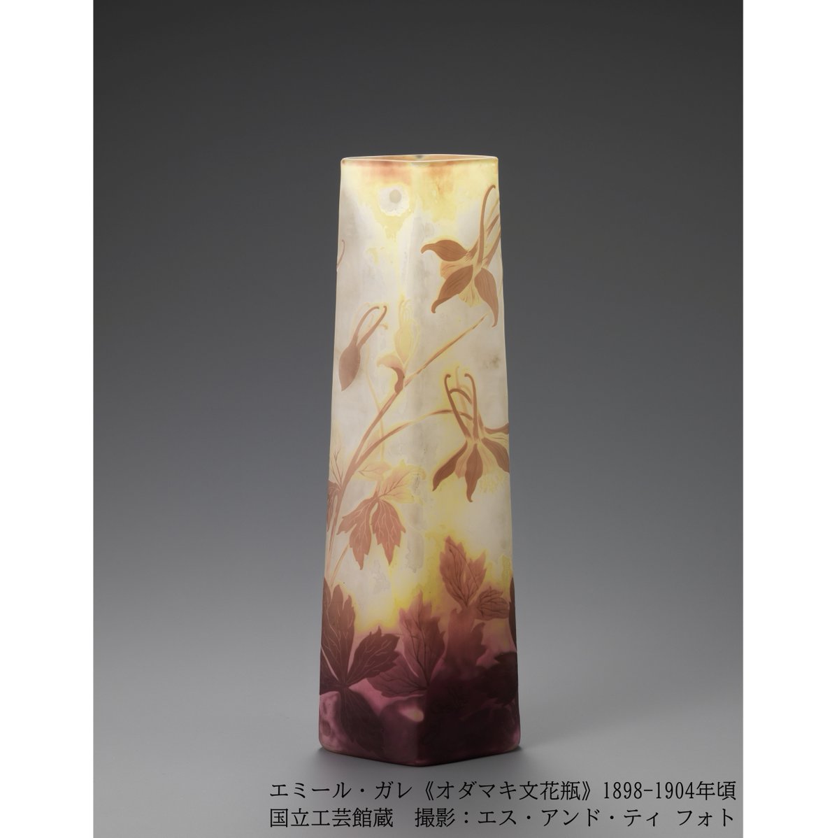 ルネ・ラリック展🦋作品紹介／ エミール・ガレ《オダマキ文花瓶》 透明