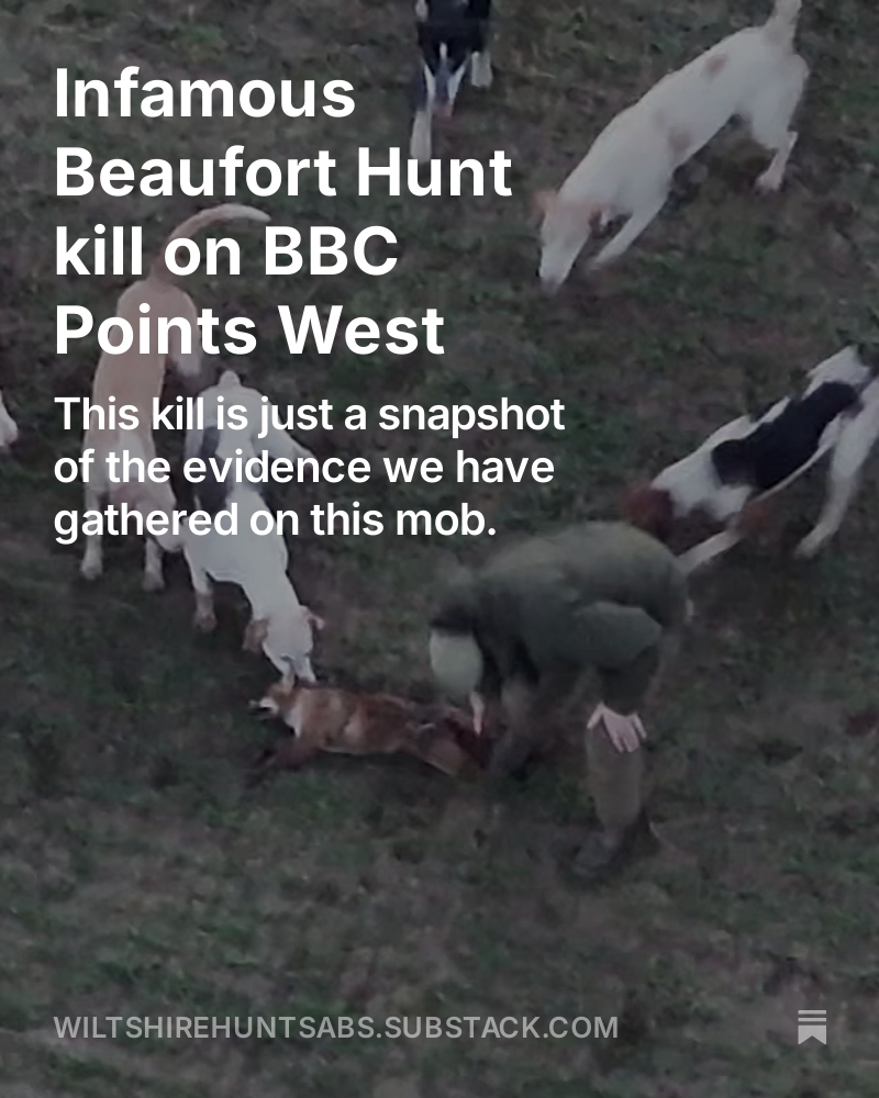 Wiltshire Hunt Saboteurs tweet media