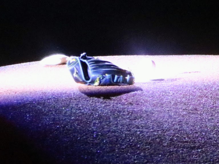 ちーやん tweet media