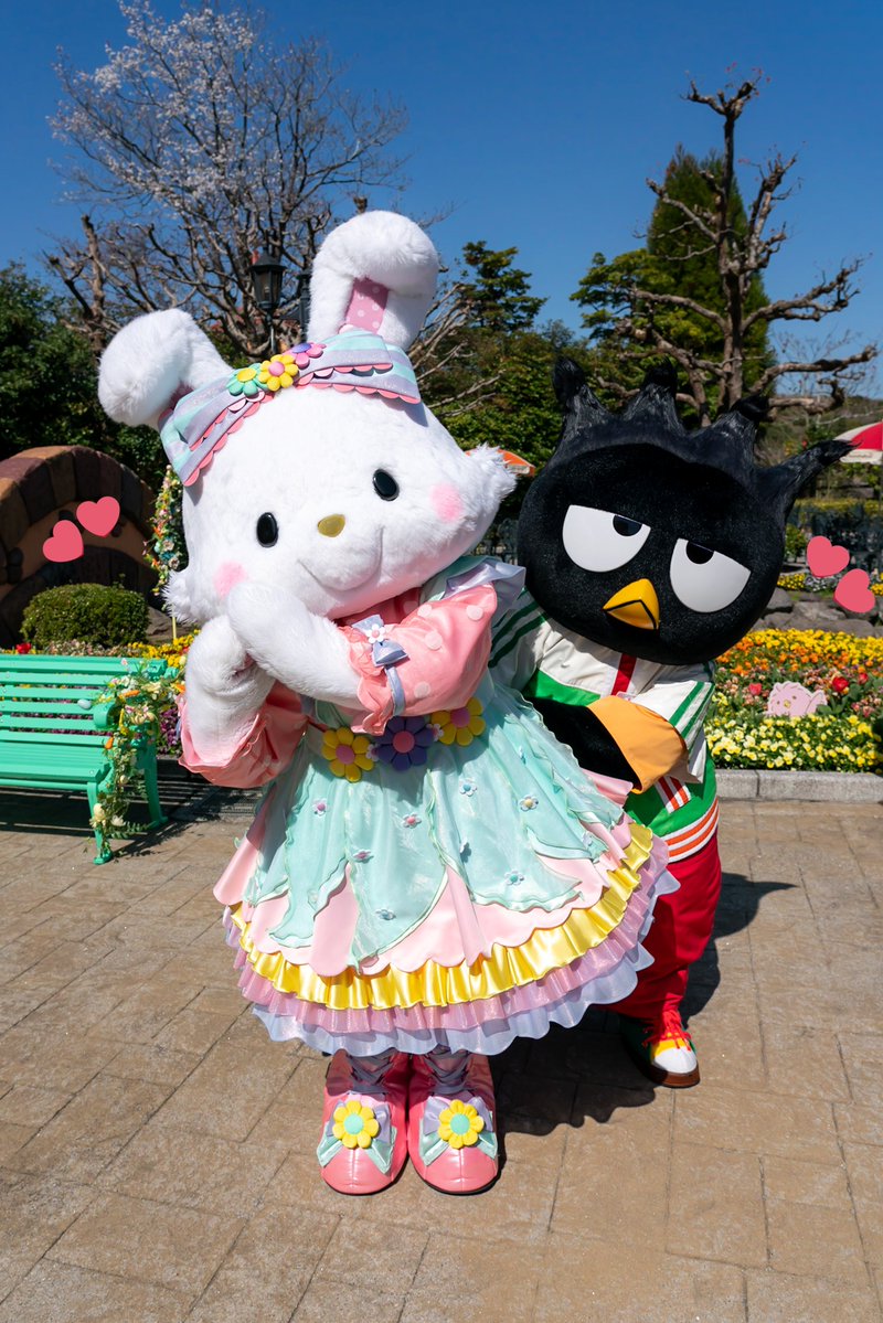 かるは🐰 tweet media