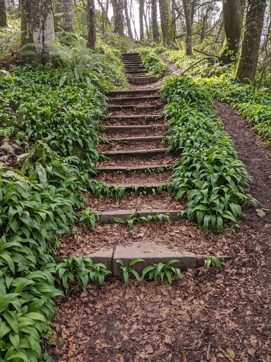daveainsworth63's tweet photo. Stackpole Court, Pembrokeshire. 🏴󠁧󠁢󠁷󠁬󠁳󠁿 #Stackpole #Pembrokeshire https://t.co/A4zNvFOM03