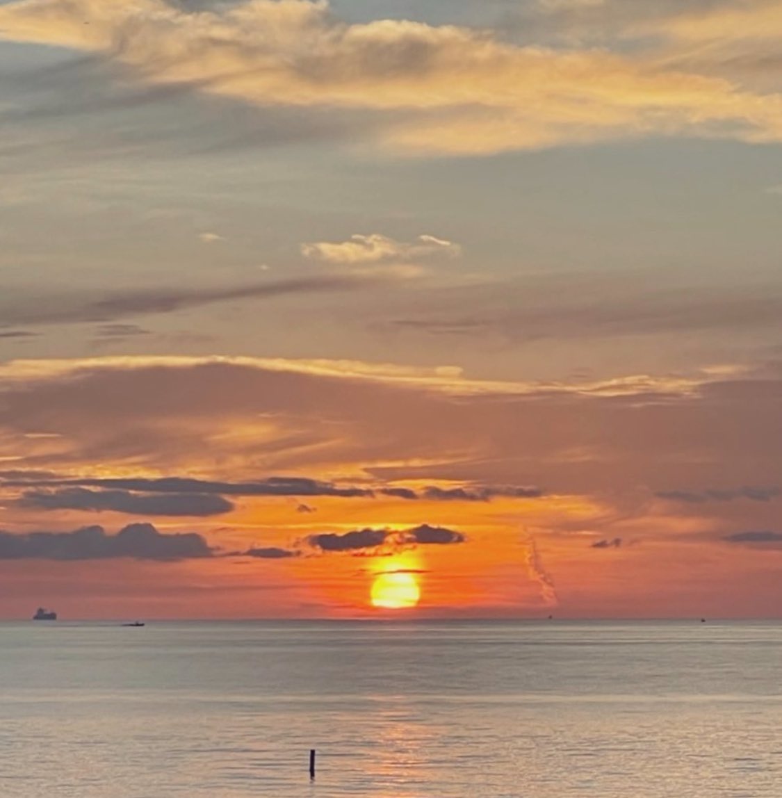 Brooklyn Morgan Johnson tweet media