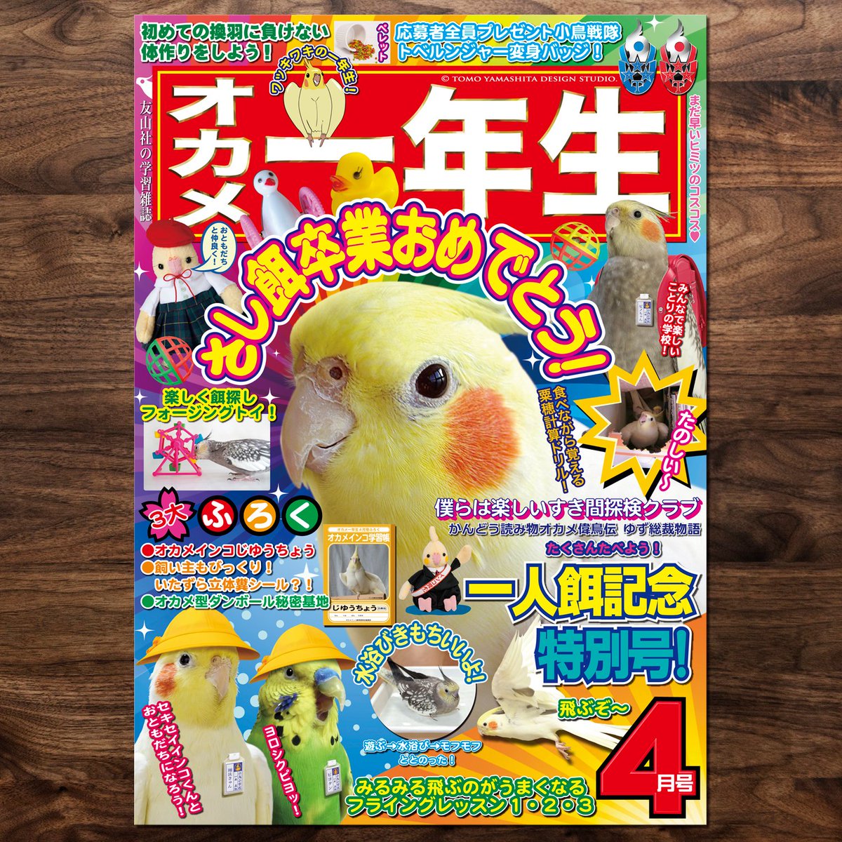 TOMOYAMASHITA tweet media