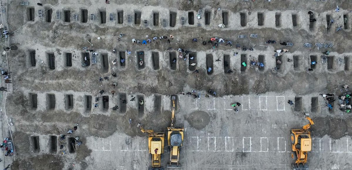 Aadil Amin tweet media