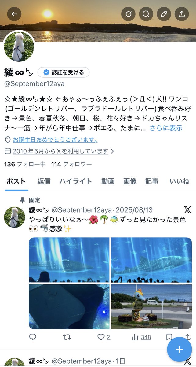 September12aya's tweet photo. 風船🎈が飛ばない💦 https://t.co/Tzxg8xecDk