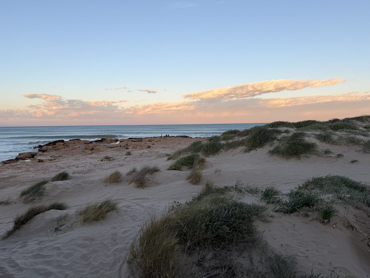 Rand Group tweet media