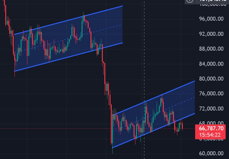 Dragonball tweet media
