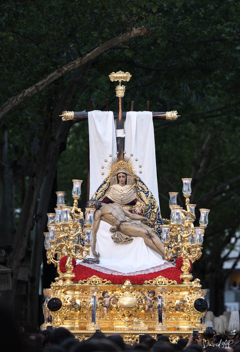 David Arias tweet media