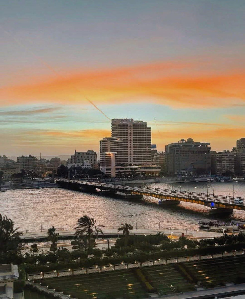 زهره محمد tweet media