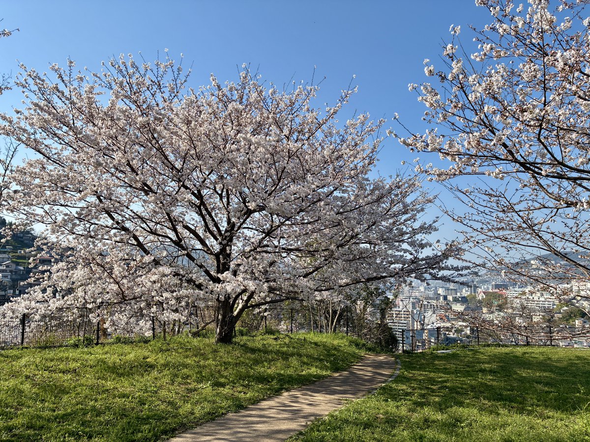 🌸らん🌸８日21時頒布会 tweet media