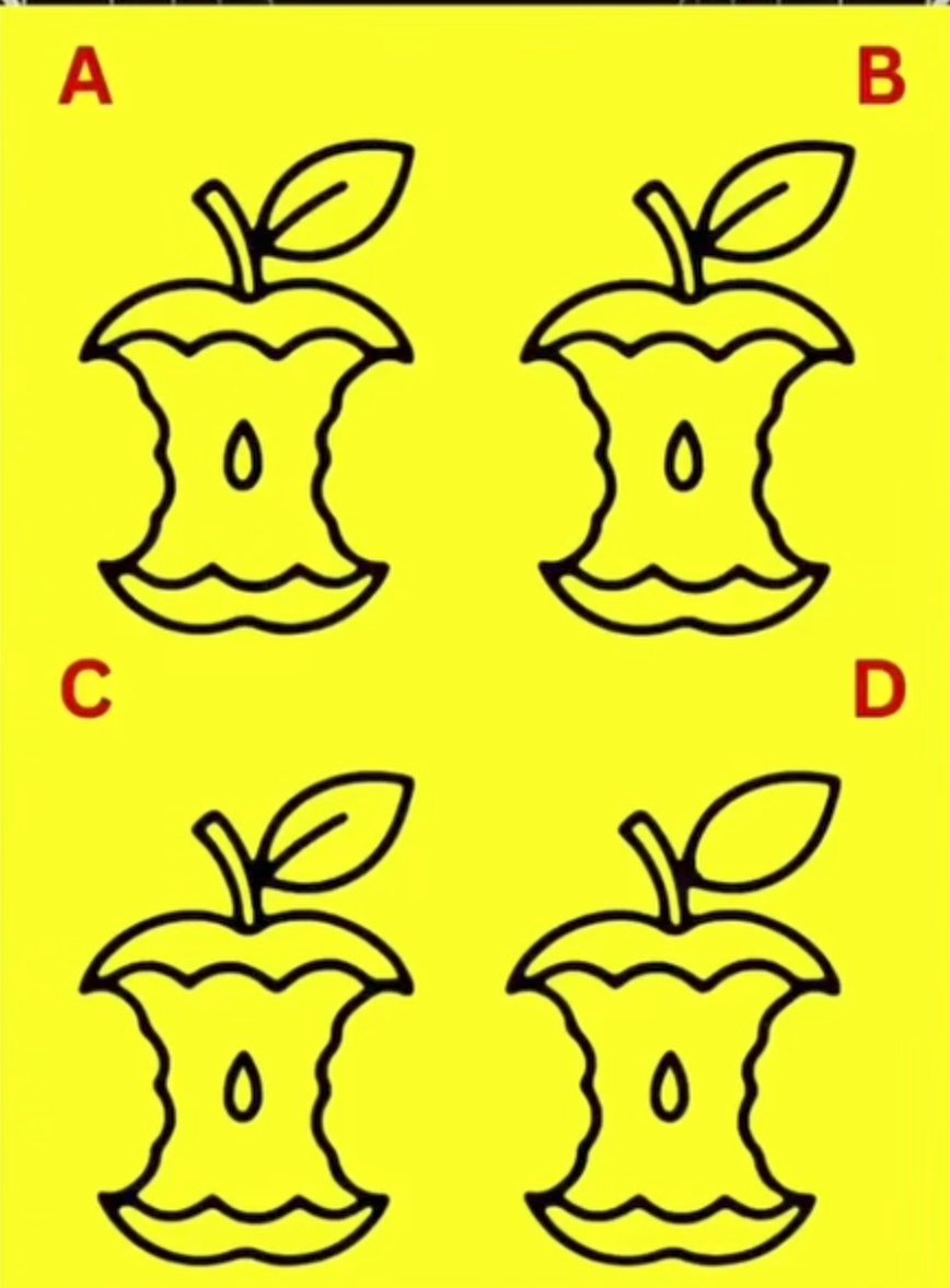 xylomyst✨ tweet media