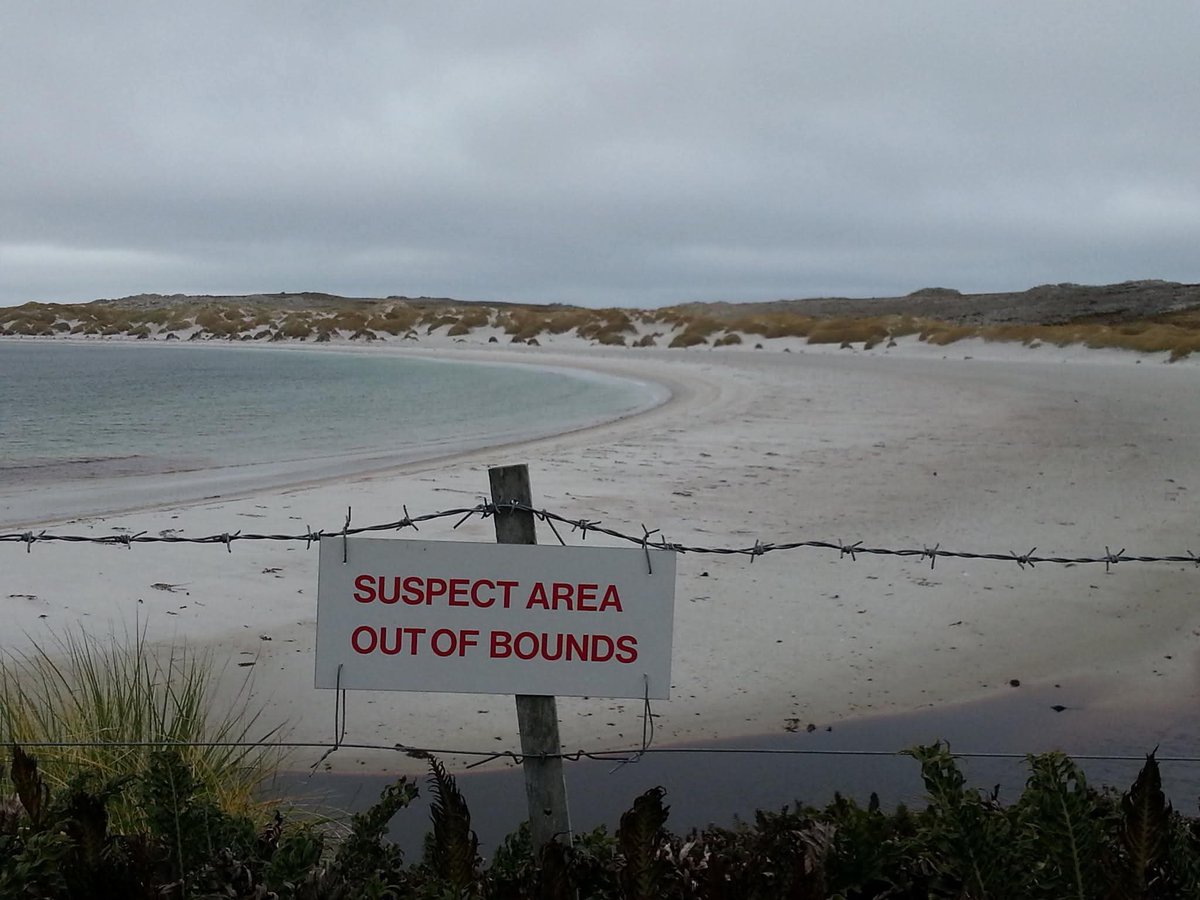 Chip Chapman tweet media