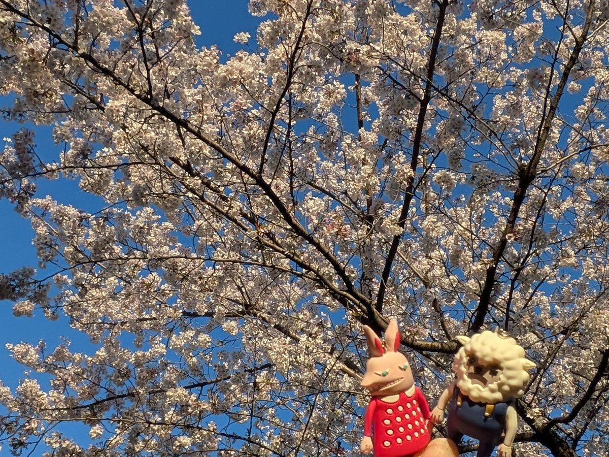 🌾玄米プリン🍮 tweet media