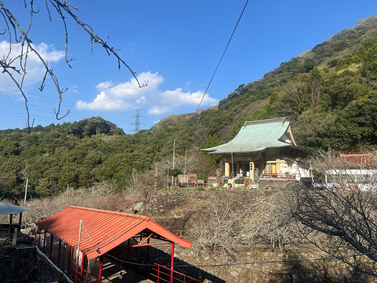 アニメ「こめかみっ！ガールズ」公式（2026年4月 放送開始) tweet media