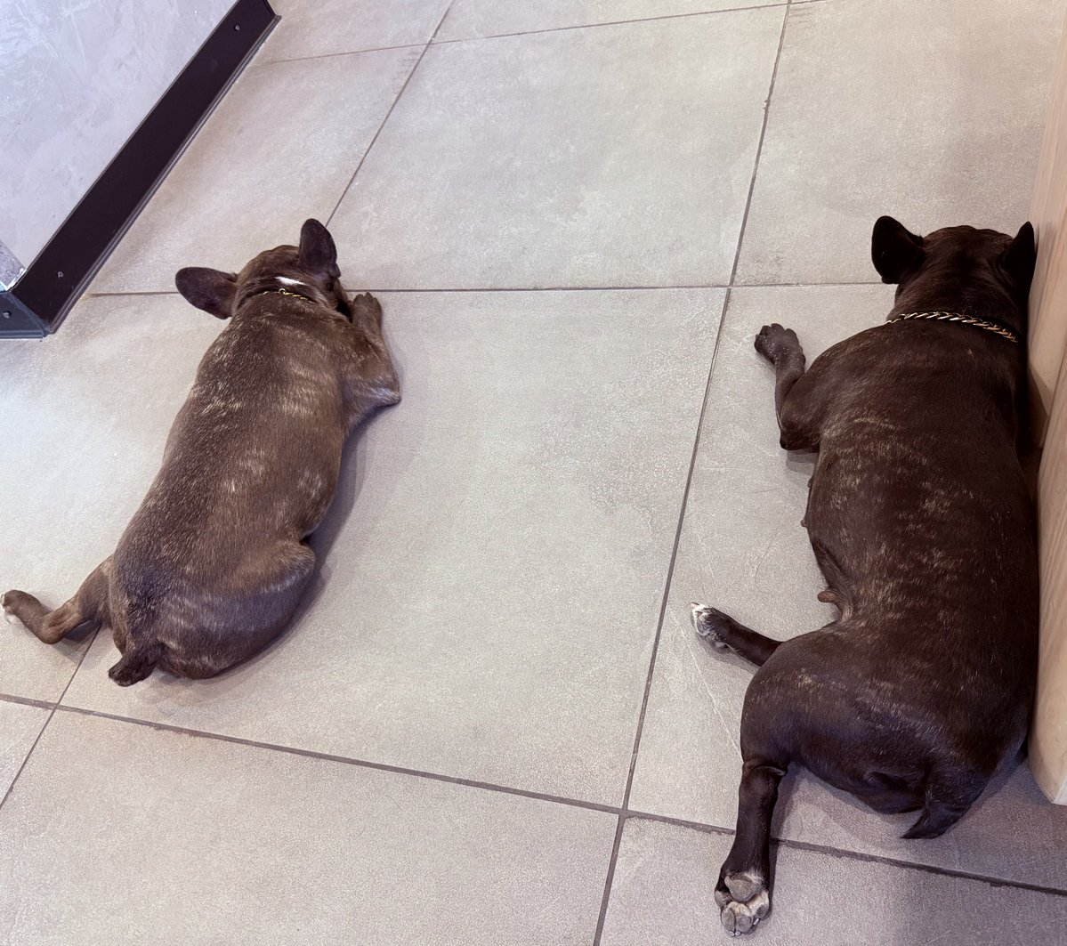 Төрийн соёрхолт tweet media