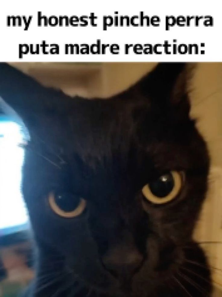 𝕂𝕚𝕞𝕦𝕣𝕒 ℍ𝕒𝕟𝕤𝕙𝕒𝕜𝕒𝕚𝕥𝕖𝕜𝕚 tweet media