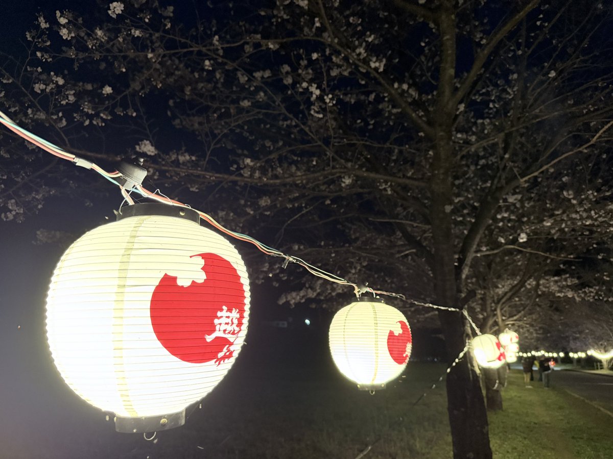 TACYON_official's tweet photo. 3/28（Sat）
【第10回　おち町ぼんぼり桜祭り】

おち町までの道のりに、山々にはピンク色の景色が見え、宮の前公園の桜はまだ少し蕾が多く、準備している最中でした🌸

それでも、既に開花した桜も見られ、ぼんぼりに照らされた姿は美しく素敵な光景でした🏮 https://t.co/YgxyLjQIFH