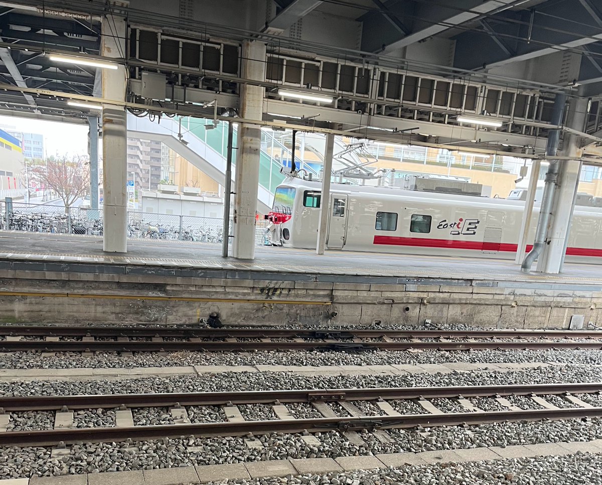 病院に受診したら、なんかいた。
電車で行ったら、いた。