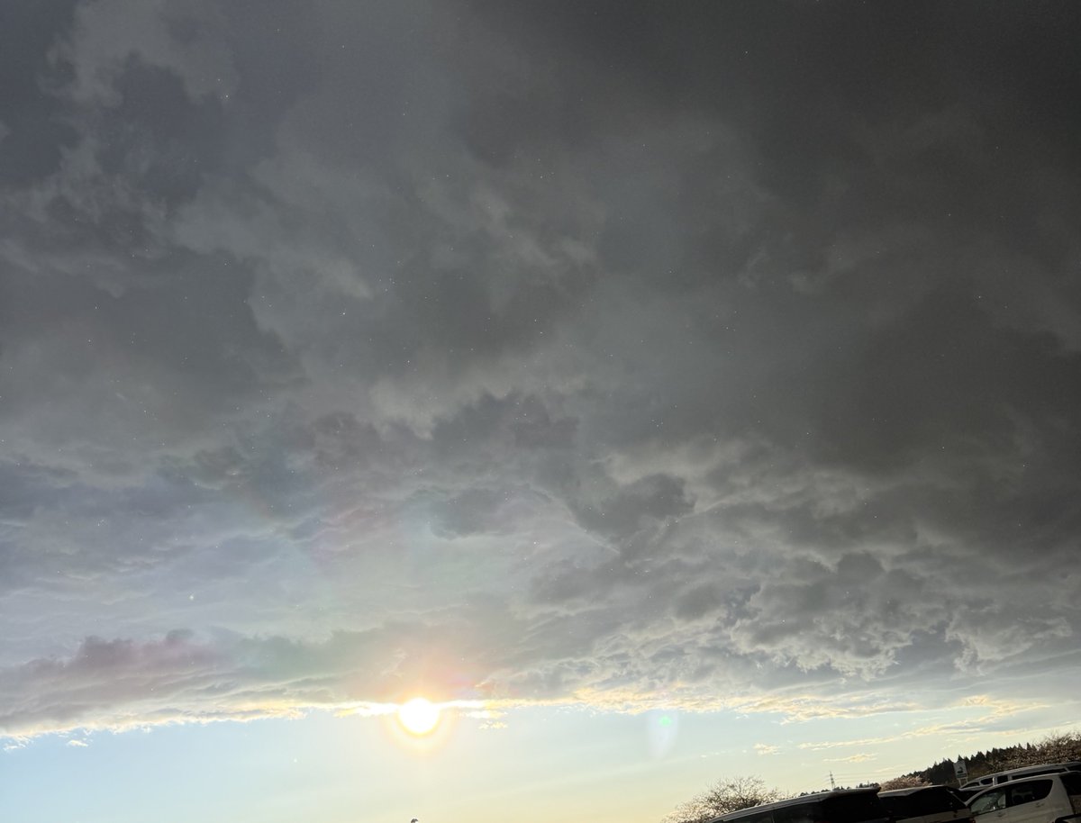 りぐたろ tweet media