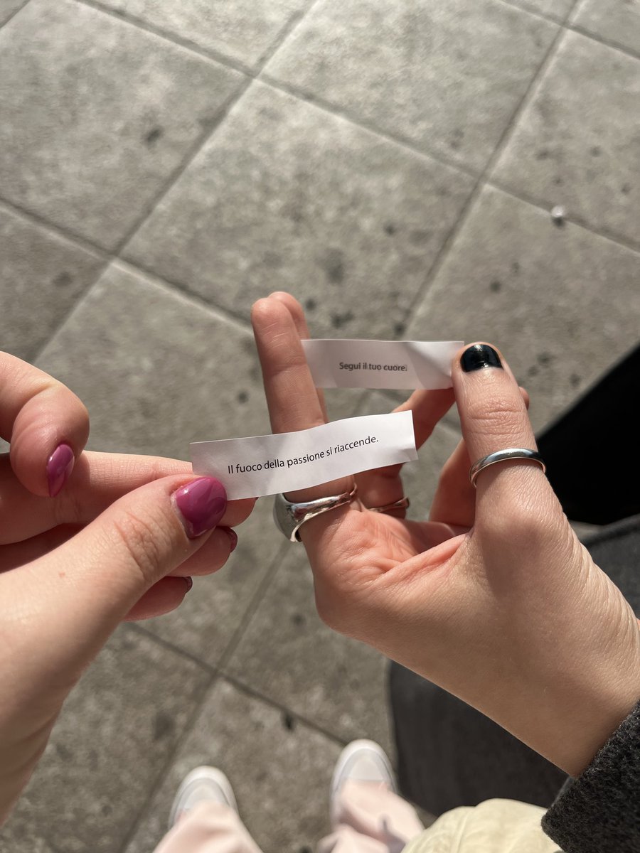 paols 🥑 tweet media