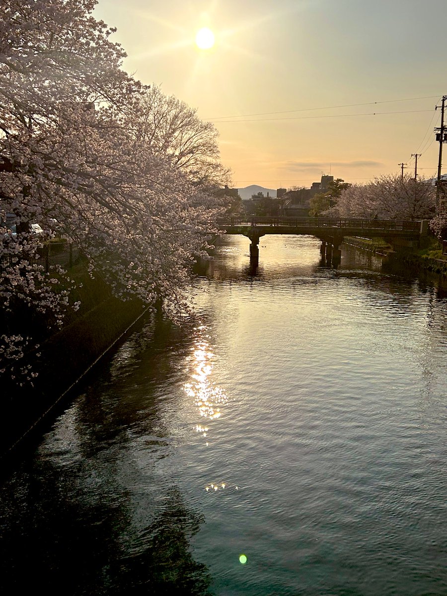 カガリ tweet media