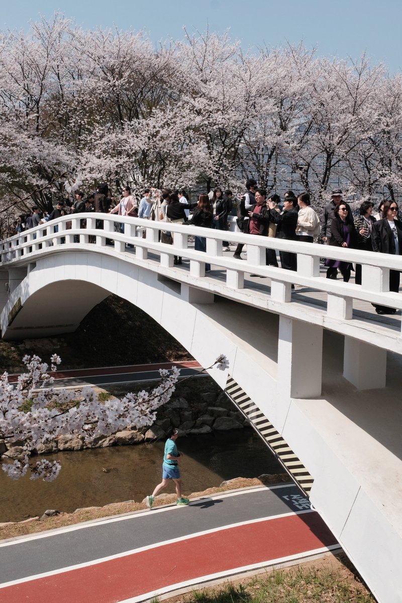 셰리프 tweet media