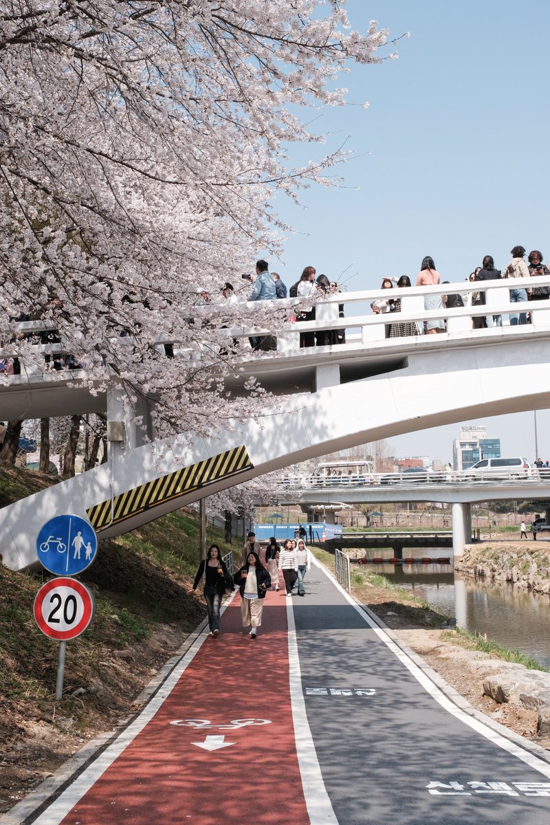 셰리프 tweet media