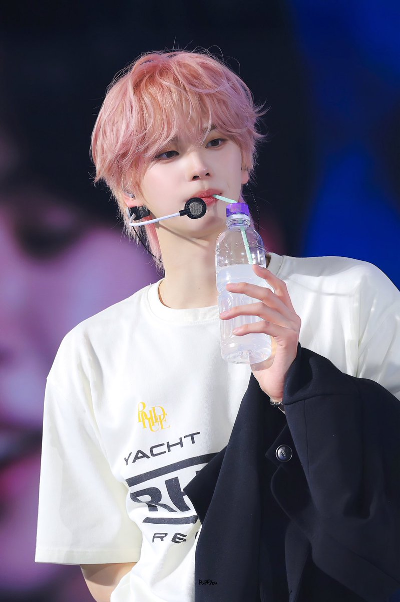 퍼피 tweet media
