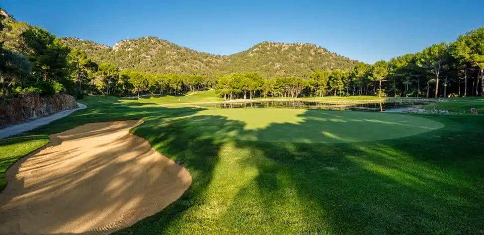 A Golfing Experience tweet media