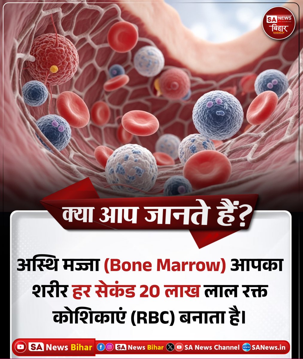 sanewsbihar's tweet image. क्या आप जानते हैं?अस्थि मज्जा (Bone Marrow)
आपके शरीर में हर सेकंड लगभग 20 लाख
लाल रक्त कोशिकाएं (RBC) बनाती है।#DidYouKnow #BiologyFacts #HumanBody #ScienceFacts #SANewsBihar