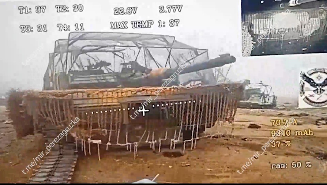 den_samoa tweet media