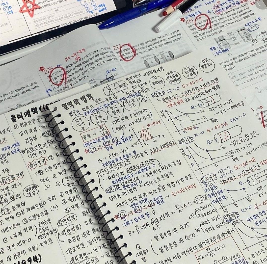 핑핑이 tweet media