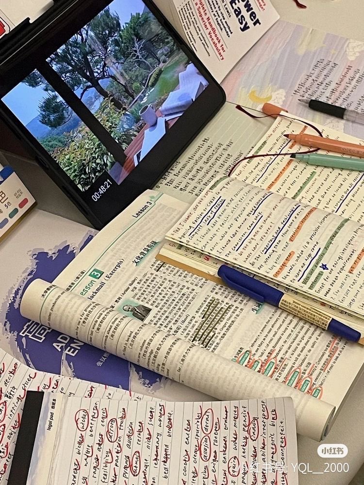 핑핑이 tweet media